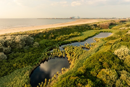 zicht op duinvijvers, strand, zee en in de verte de haven van Zeebrugge